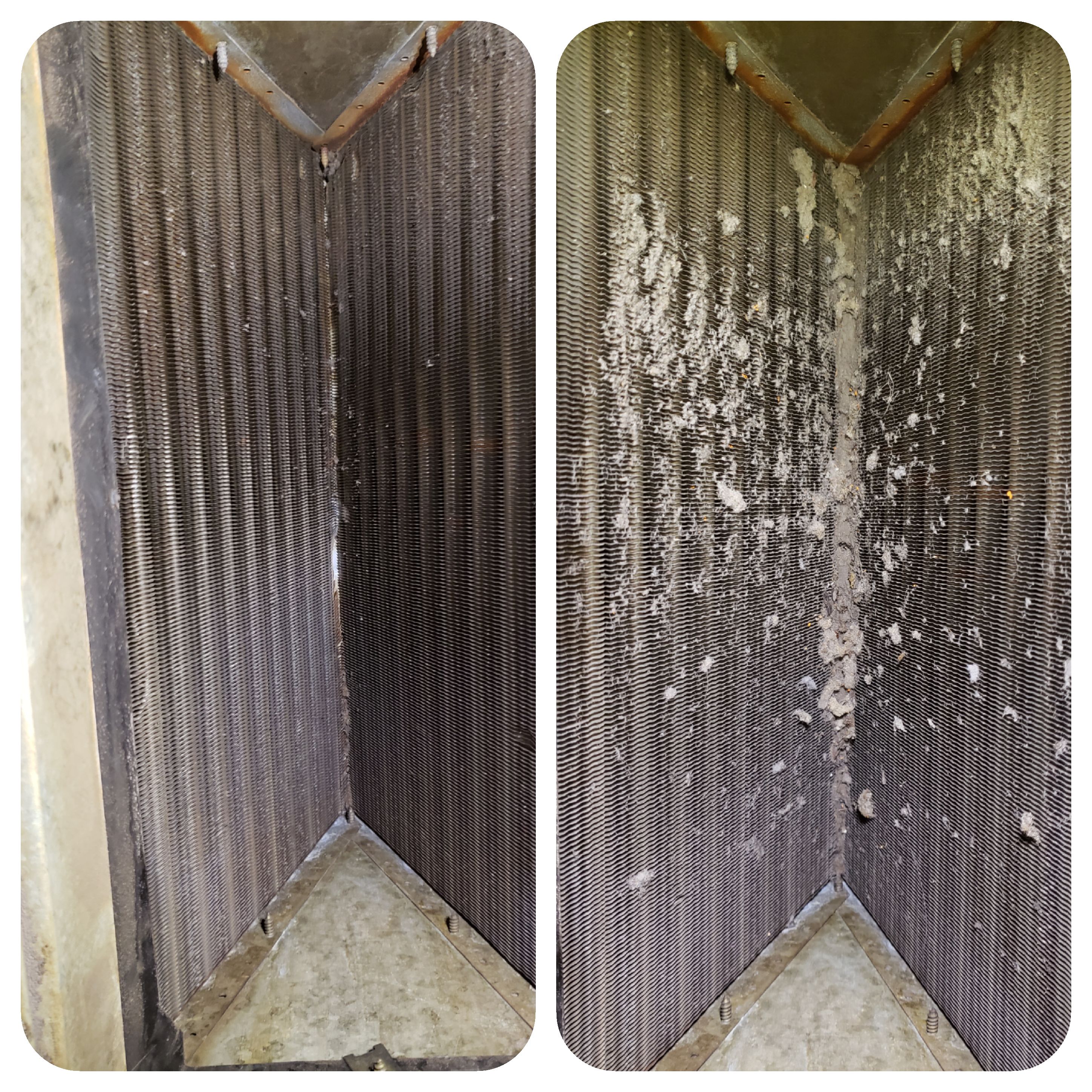 AC-coil-cleaning-service